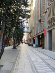 日本橋高島屋新館と本館の間の通路の画像です