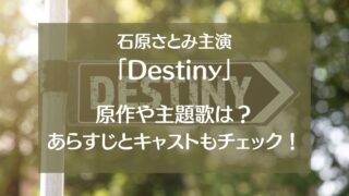 Destiny(ディスティニー)原作は？脚本や主題歌とあらすじを紹介！