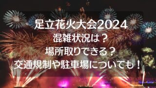 足立花火大会2024混雑状況は？場所取りや交通規制と駐車場についても！